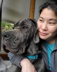 Sprudge · The Phoenix Coffee Guide