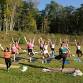 Mid-Summer wellness Fest