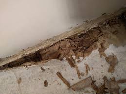 If it's in a bathroom, it's probably best you go with a thick vinyl that has some protection against water it is complex to replace subflooring in a mobile home but it's a common project for homeowners of. How To Repair Void In Edge Of Subfloor From Rot Home Improvement Stack Exchange