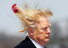 MeidasTouch: "Incredibly embarrassing" — Bluesky