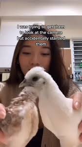 Not today bitch 🤡 🔥 Follow 👉@chicken.unity 📸 Cre: kristopher.berry-  TikTok -------------------------------------------- ⚠️ All credits are  reserved & belongs for their respective owners 💼 🙏🏻 Special thanks to  the owner for created