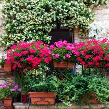 Wedding, birthday party, freshers, engagement. How To Choose The Best Fake Flowers For Window Boxes