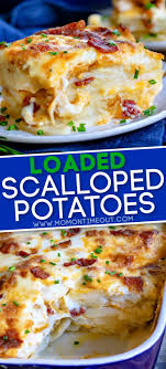 Loaded Scalloped Potatoes Scalloped Potato Recipes Recipes Potato Side Dishes