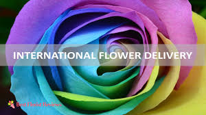 Send flowers to australia from usa. The 7 Best International Flower Delivery Options 2021