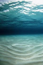 There Will Be A Moment In Deep Water And I Mean This Literally I Ll Be Floating Suspended In The Sea Buoyed By Salty Densit Sea And Ocean Ocean Sea Floor