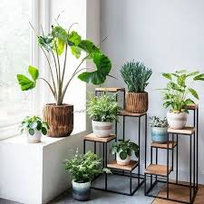 47 Plant Stand Design Ideas For Indoor House Plants In 2020 Plant Decor Indoor House Plants Indoor House Plants Decor