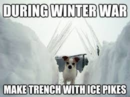 Funny Winter Memes Google Search Winter Dog Dog Memes History Memes