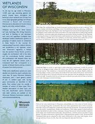 Wetlands are places where water sits long enough, and often enough, to alter the soil, vegetation and animal communities that live there. Wetland Types Wisconsin Wetlands Association