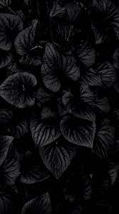 A collection of the top 70 black wallpapers and backgrounds available for download for free. Black Full Amoled 4k Wallpapers Wallpaper Cave