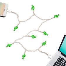 It can also occur as a result of bacterial or fungal activity, such as the glow from foxfire. Dci Cactus Led Lights Glow In The Dark Usb And Charging Cable 46 Inch Compatible With Iphone 5 6 7 Models Buy Online In Burkina Faso At Burkinafaso Desertcart Com Productid 62239115