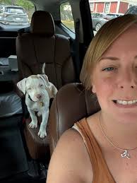 Thanks, have a 2020 CBP with about 13k miles. So far no problems. Do wish  SOA could refine the CVT a lot more.