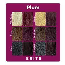 BRITE Clean Color Permanent Hair Color Kit - Plum, Vegan, Cruelty Free, PPD  Free, 2.03 fl. oz. - Walmart.com