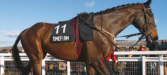Information and links to horses on tv, upcoming horse racing on television, equestrian tv, kentucky derby on tv. Welcome To Timeform