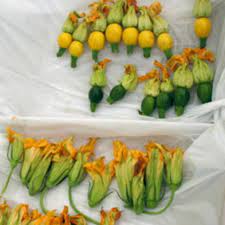 We did not find results for: Good Question Where Can I Find Squash Blossoms Kitchn