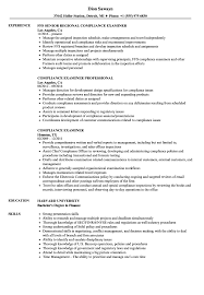 compliance examiner resume samples