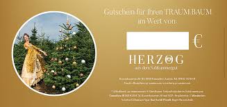 The year of the perfect christmas tree. Christbaumzucht Abies Nordmanniana Und Nordmanntanne Herzog Samen