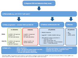 Your health care provider will look at your health history and may do tests to find out why you have kidney disease. Ckd Summary Overview Edren Org