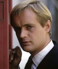 This article from 2013 mentions David earning $75,000 per episode of NCIS,  thus being joint highest-paid British actor in the US (with Damian Lewis).  Two photos attached which are from NCIS but