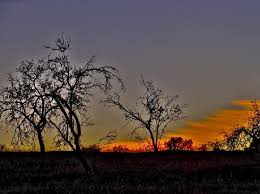 Browse the user profile and get inspired. Sunset Atlas Farm Picture Of Atlas Farm Chez Kossai Marrakech Tripadvisor