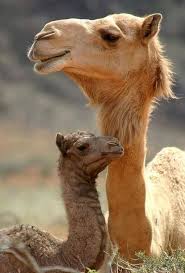 Pin On Mommy
