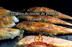 Epingle Sur Cuisine Plancha Et Bbq