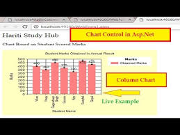 How To Use Chart Control In Asp Net C Hindi Column Chart
