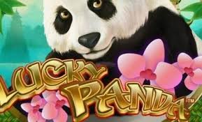 M Ntc33 Lucky Panda Online Slot Game With Chinese Cute Animal Panda Online Slots Games Cute Animals