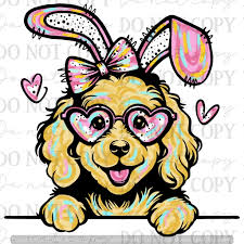 What shirt in youth sizes bleach the best?