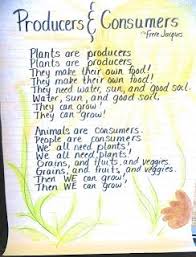 First Grade Wow Riding The Food Chain First Grade Science Fourth Grade Science Food Chain