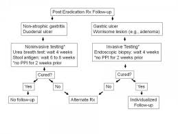 For these reasons, diagnosing stomach cancer in its. Helicobacter Pylori Infection Cancer Therapy Advisor