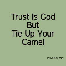 Tie up your camel means we must act too. Trust Is God But Tie Up Your Camel Proverbsy