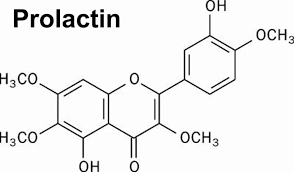 Image result for Prolactin