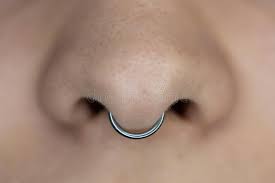 503 Piercing Septum Photos Free Royalty Free Stock Photos From Dreamstime