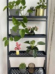 Choose a store from the list to visit the store page, get more store information, or use the map to find your closest store. Blumen Regal Ikea Ebay Kleinanzeigen