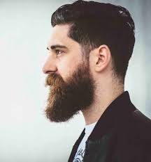 12 Short Hairstyles With Long Beard For Rugged Manly Look Beard Shapes Long Beard Styles Beard Styles For Men