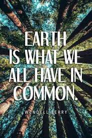 Earth Is What We All Have In Common Mother Earth Quotes Earth Quotes Environmental Quotes