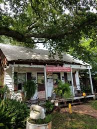 Swamp cruises, golfing, beaches, watersports, biking, backpacking, hiking, boating, fishing, deep sea fishing, hockey, horseback riding, horse racing, lakes, bayous, rivers, riverboat excursion, whitewater rafting. These 9 Awesome Cabins In Louisiana Will Give You An Unforgettable Stay Louisiana Travel Louisiana Bayou Louisiana Homes
