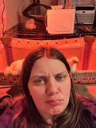 BYC (BackYardChickens)