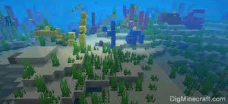 Flowers spawn in most minecraft biomes. Minecraft Warm Ocean Seeds For Bedrock Edition