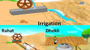 Biology Agricultural Tools And Irrigation Methods English