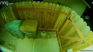 Timing is flexible what kind of location is this? Greenlight Termite And Pest Home Facebook