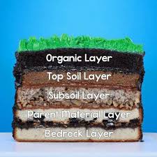 This Sediment Layer Earth Cake Is Educational Yummy Organic Layer Chocolate Cake Top Soil Layer Carrot Cake Subsoi Science Cake Earth Cake Geology Cake