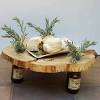 5 pcs x unfinished natural round wood slices. 1