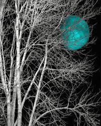 Black And White With Pop Of Color Teal Gray Moon Tree Wall Art Teal Wall Pictures Modern Teal Etsy Moon Wall Art Black And White Tree Beautiful Moon