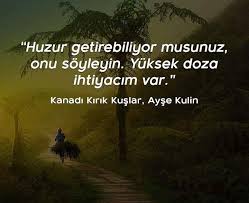 Ayse Kulin Ayi