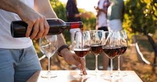 Best 5 italian red wines for beginners. The Ten Best Italian Red Wines A Beginner S Guide