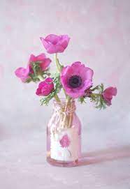 Sony Dsc Pink Anemones In A Glass Vase Flower Creation Flowers Photography Glass Vase