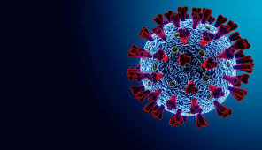 In the winter and spring of 2020, the world found itself in the midst of a pandemic. Forschungsdatenbank Mehr Als Eine Million Coronavirus Genome Gesammelt Forschung Lehre