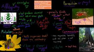 Check spelling or type a new query. 3 Allelopathy Parasitism Mutualism Commensalism Preliminary Biology Youtube