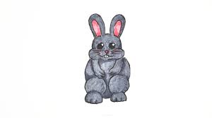 Image result for bunny